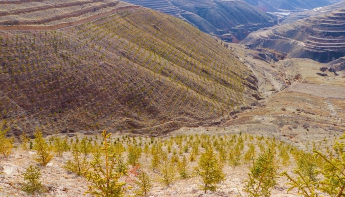 渭河源生態(tài)保護修復治理項目：人工造林施工穩(wěn)步推進